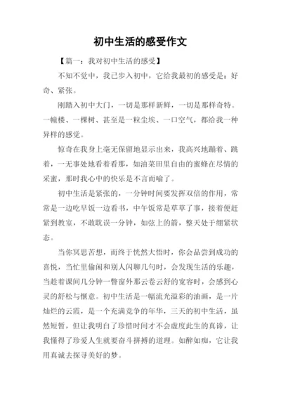 初中生活的感受作文.docx