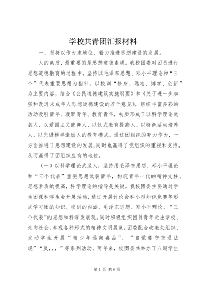 学校共青团汇报材料.docx