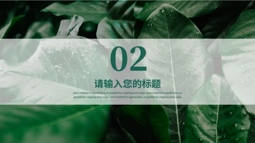 夏天的绿叶二十四节气夏至通用PPT模板