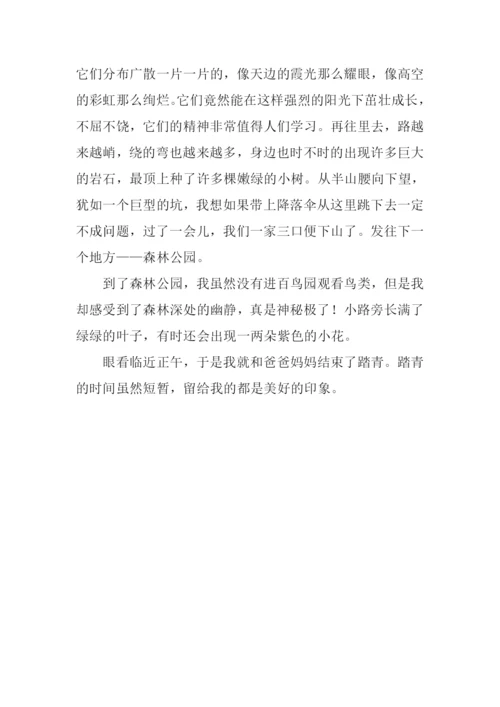 春日踏青作文400字.docx