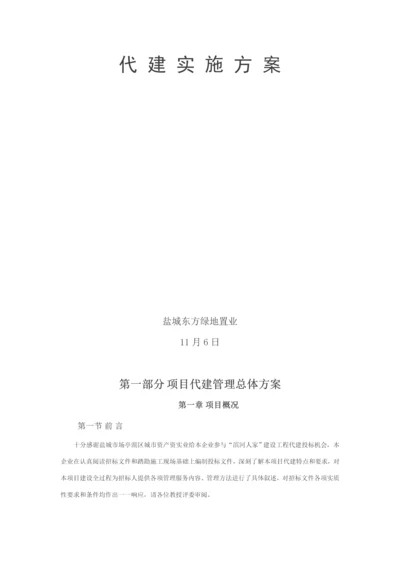 代建综合项目实施专项方案.docx