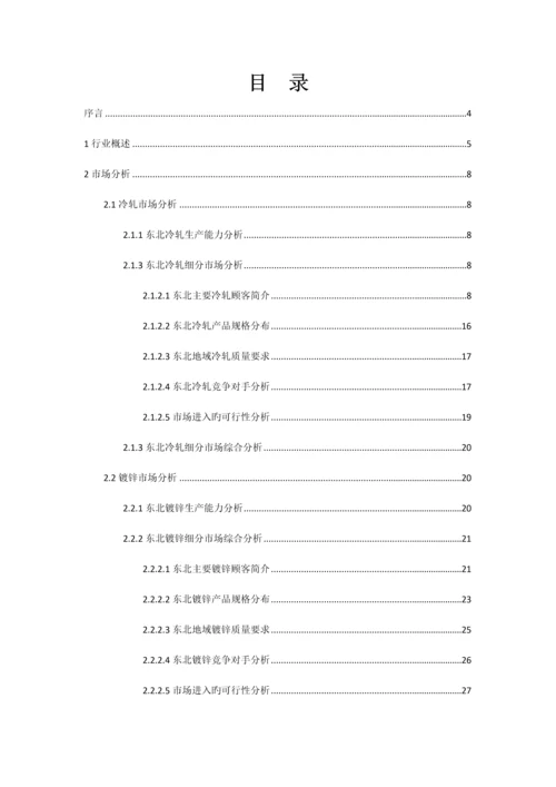 公司冷轧项目调研报告.docx