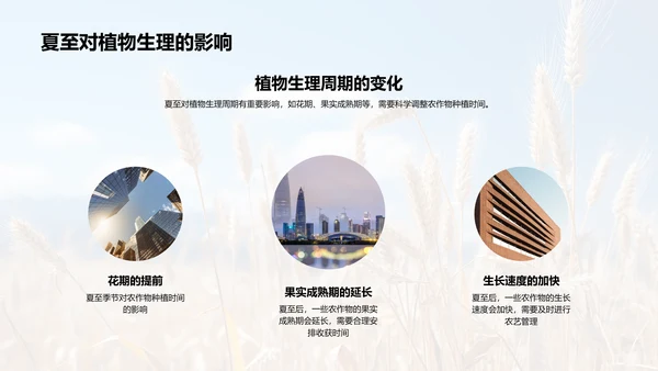 夏至农业气候指导