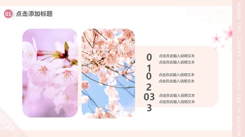 樱花画册粉色浪漫樱花季通用PPT模板