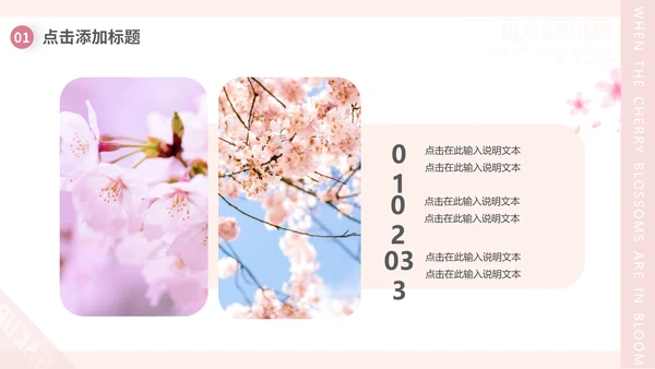 樱花画册粉色浪漫樱花季通用PPT模板