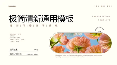 浅色极简清新总结汇报通用PPT演示模板