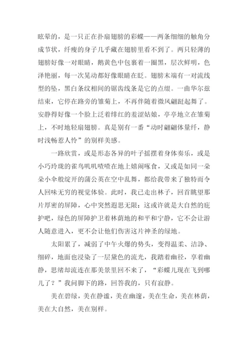 漫步于林荫感受别样的美作文.docx