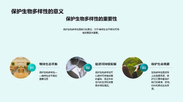 3D风教育培训教学课件PPT模板