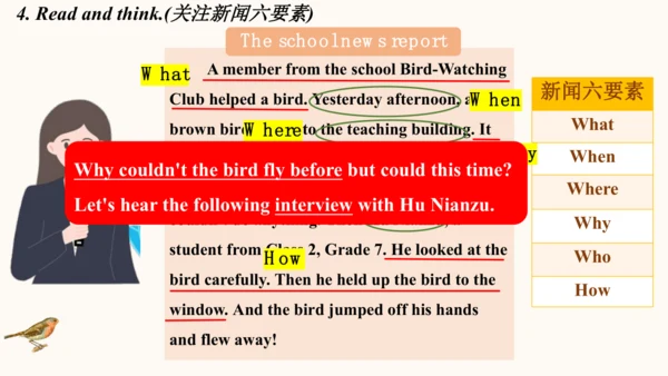 Unit 2 More than fun Developing ideas（教学课件）-2024-2