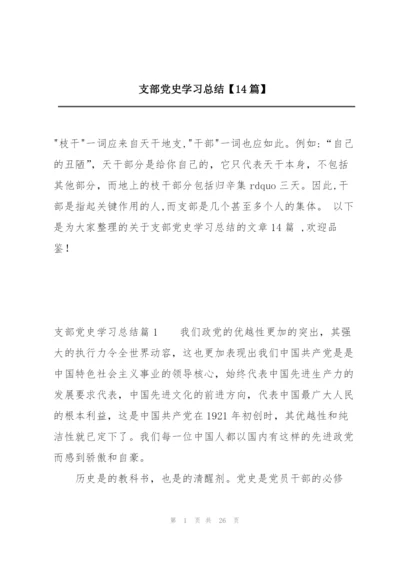 支部党史学习总结【14篇】.docx