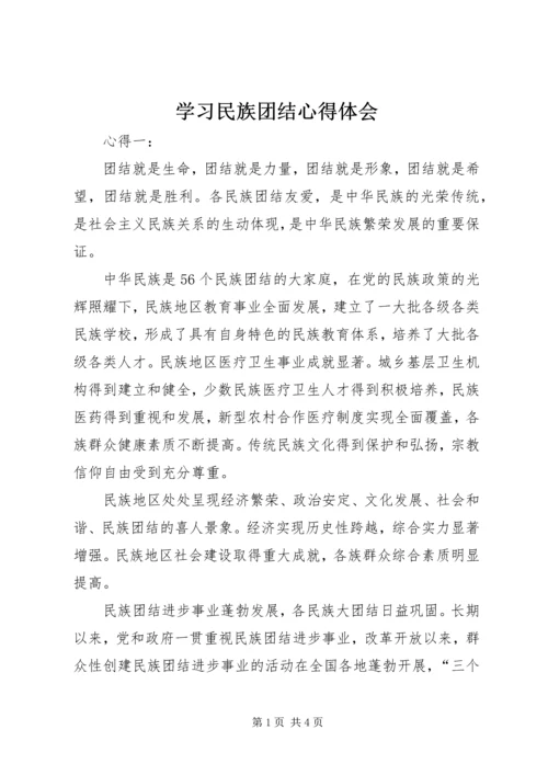 学习民族团结心得体会 (5).docx