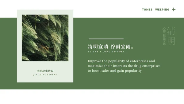 绿色大气清新绿植清明节主题PPT模板