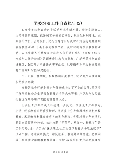 团委综治工作自查报告(2).docx