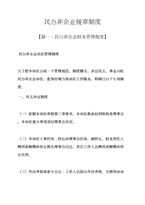 民办非企业专项规章新规制度.docx