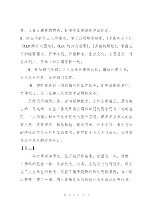 新员工个人试用期转正工作总结3000字.docx