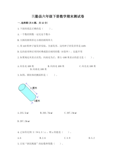 民勤县六年级下册数学期末测试卷（全优）.docx