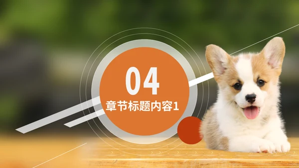 宠物乐园萌宠狗狗主题通用PPT模板