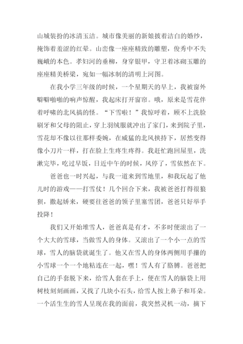 美丽的雪景作文800字.docx