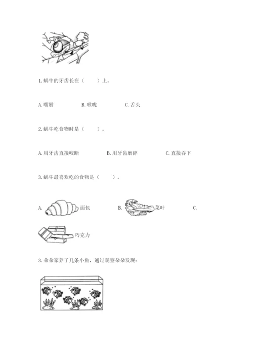 教科版小学科学一年级下册期末测试卷精品（历年真题）.docx