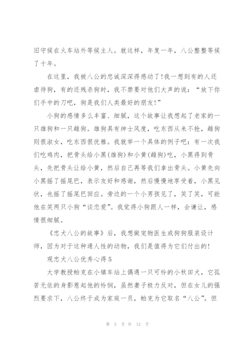 观忠犬八公优秀心得10篇.docx