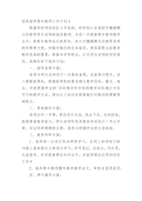 培养指导青年教师工作计划.docx