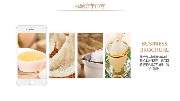 燕窝养生健康天然燕窝补品PPT模板