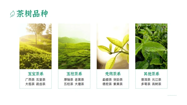 绿色清新风一杯抹茶产品介绍通用PPT模板