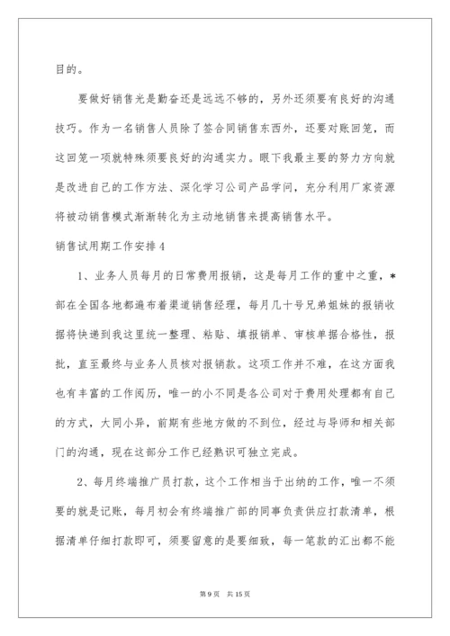 销售试用期工作计划.docx