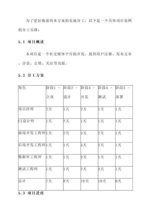 项目实施分工方案