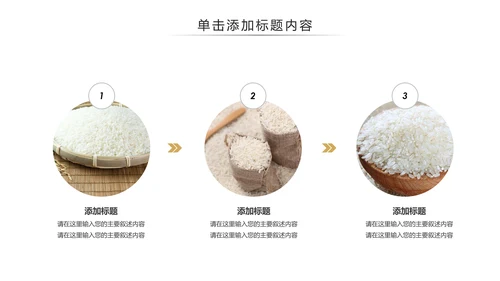 健康绿色有机大米农业粮食推广销售PPT模板