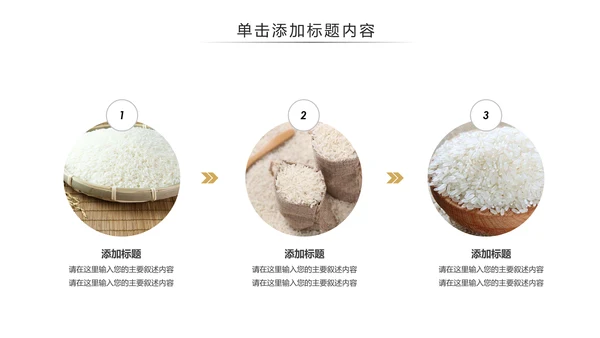 健康绿色有机大米农业粮食推广销售PPT模板