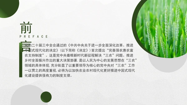 二十届三中全会关于完善强农惠农富农支持制度党课ppt