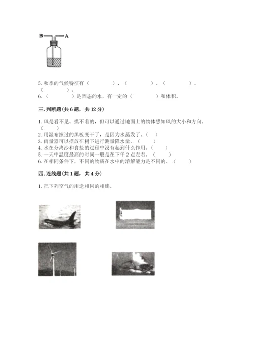 教科版三年级上册科学期末测试卷及1套完整答案.docx