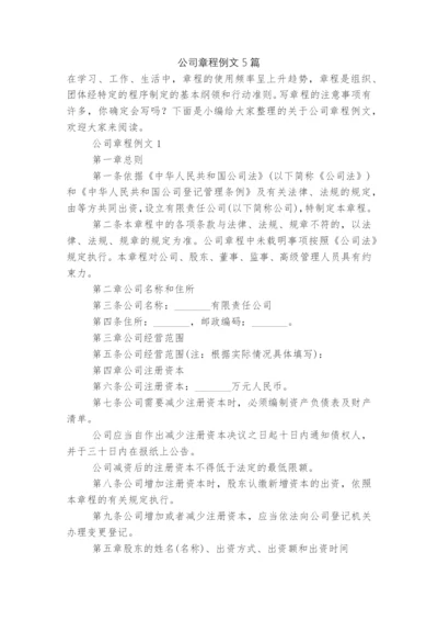 公司章程例文5篇.docx