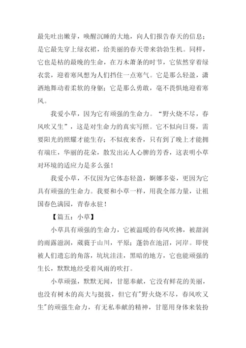小草借物喻人的作文.docx