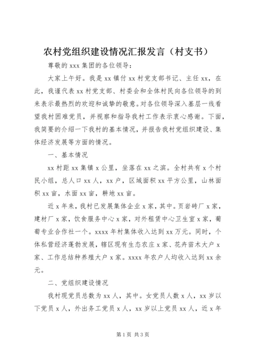 农村党组织建设情况汇报发言（村支书）.docx