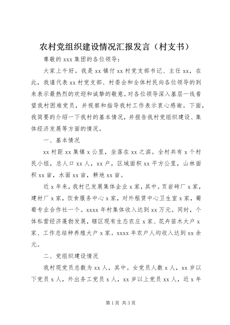 农村党组织建设情况汇报发言（村支书）.docx