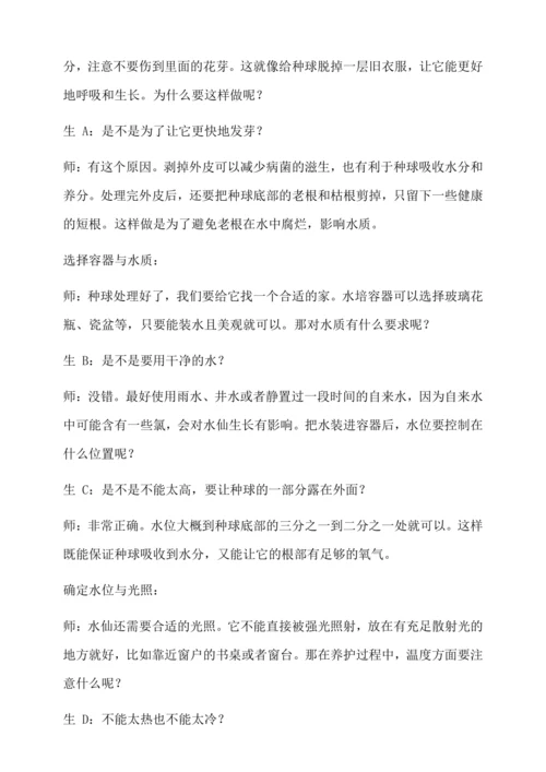 水培水仙 教学设计--人教版劳动四上