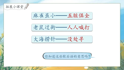 【核心素养】部编版语文一年级下册-语文园地五（课件）