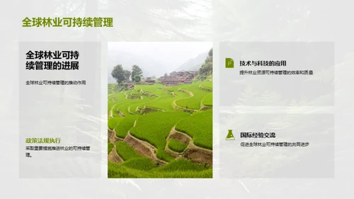 林业资源的绿色转型