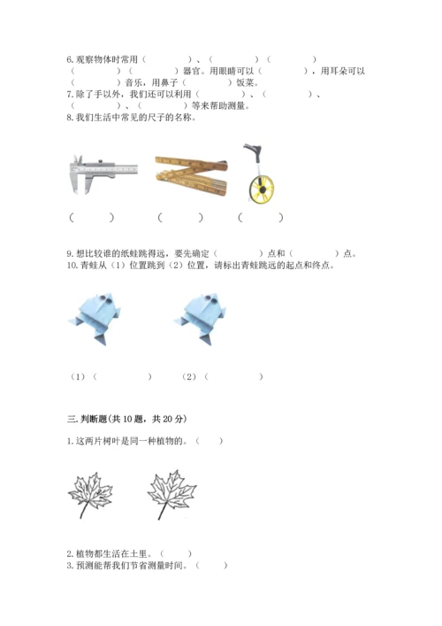 教科版一年级上册科学期末测试卷及参考答案（考试直接用）.docx