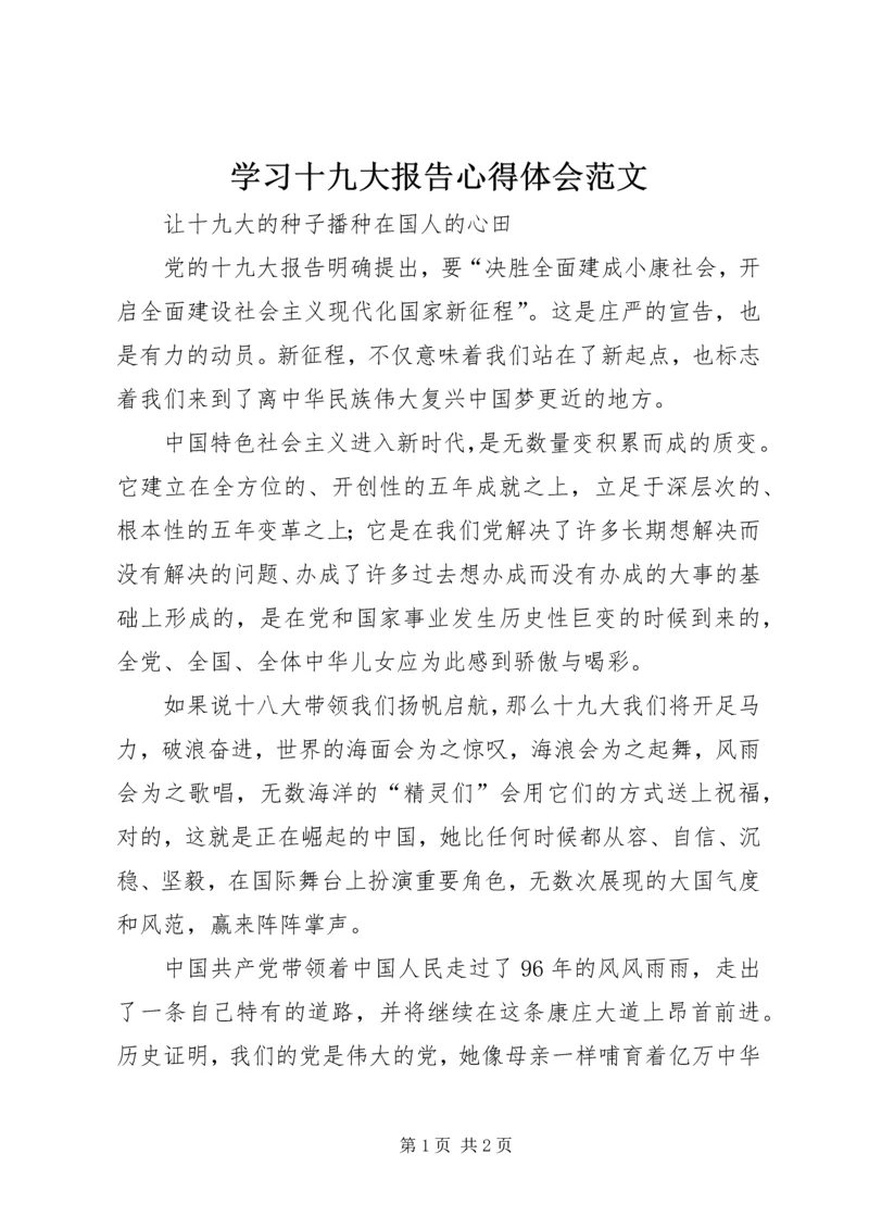 学习十九大报告心得体会范文.docx