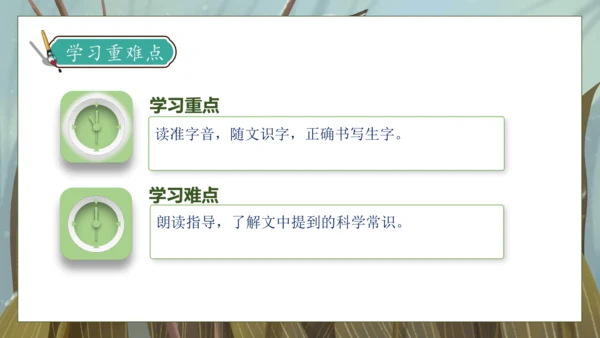 【核心素养】部编版语文一年级下册-18. 棉花姑娘 第1课时（课件）