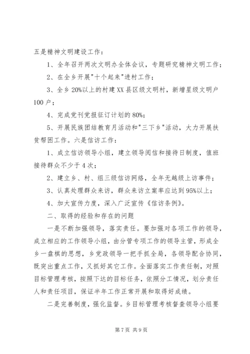 乡镇目标任务完成情况自查总结工作总结.docx