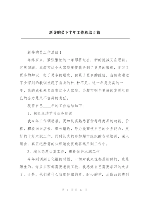 新导购员下半年工作总结5篇.docx