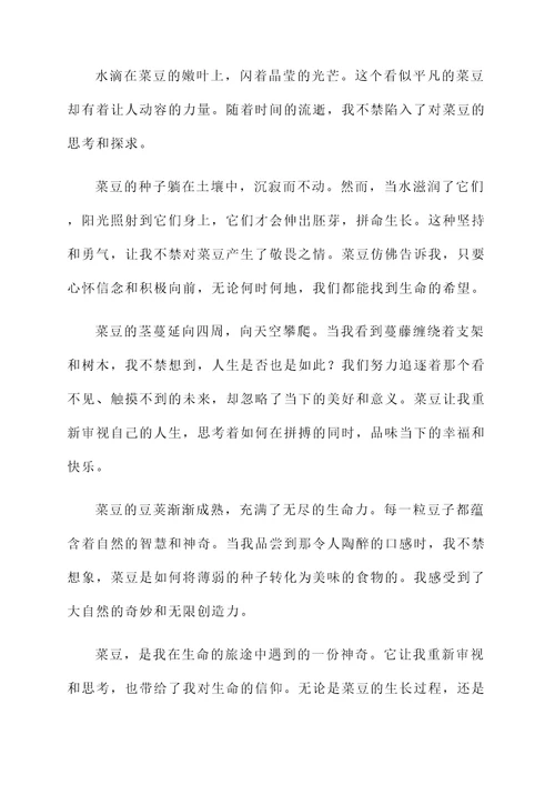 长到天上的菜豆的感想