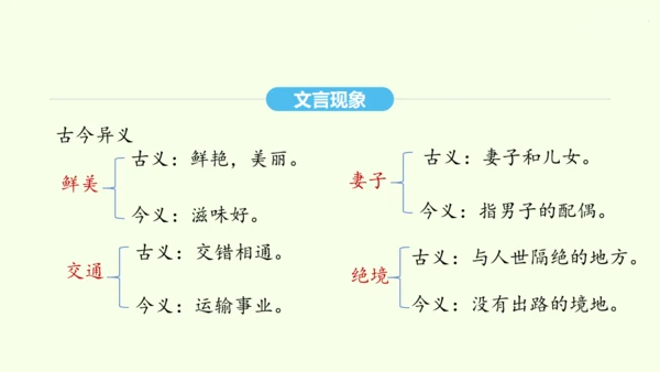 第9课 桃花源记 统编版语文八年级下册 同步精品课件