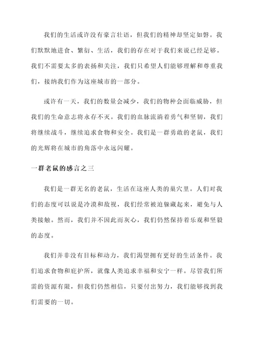 一群老鼠的感言