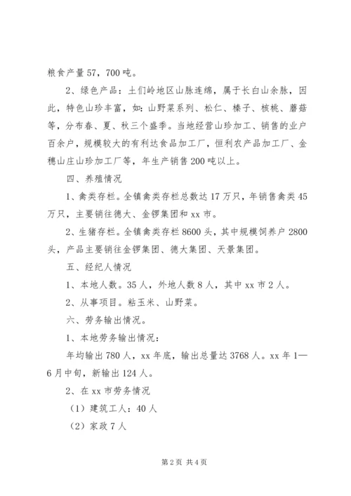 乡镇经济发展战略调研报告.docx