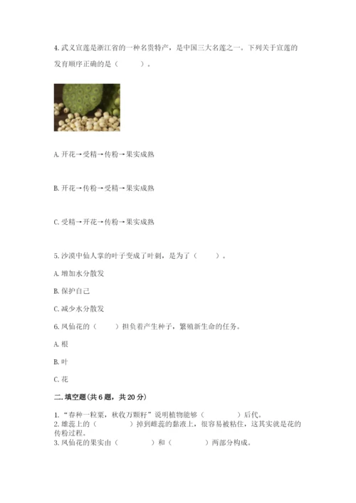 教科版四年级下册科学第一单元《植物的生长变化》测试卷（必刷）.docx
